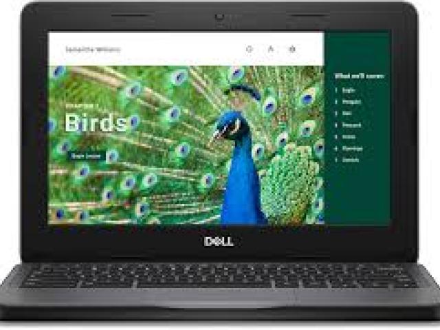 Dell 11.6 inch Laptop Screen price in coimbatore
