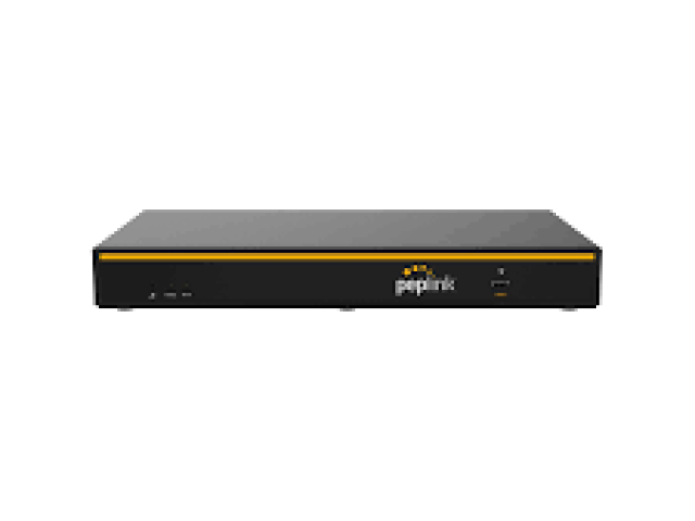 Peplink 10 Port Fiber Router Price in Coimbatore