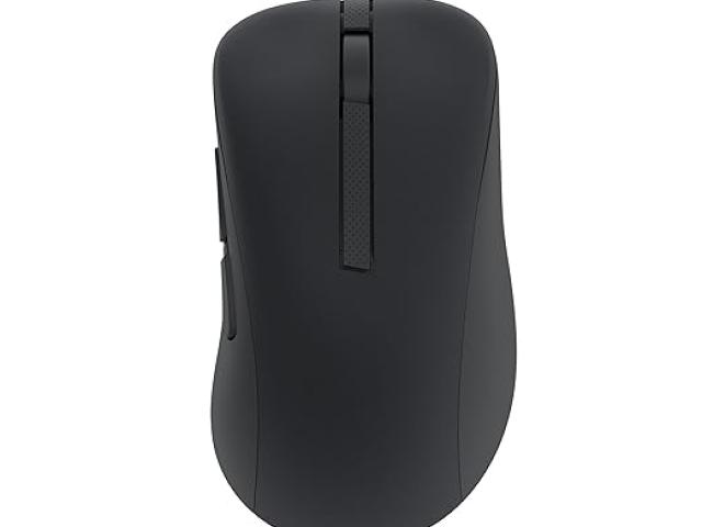 ASUS Wireless Mouse Price in Cooimbatore
