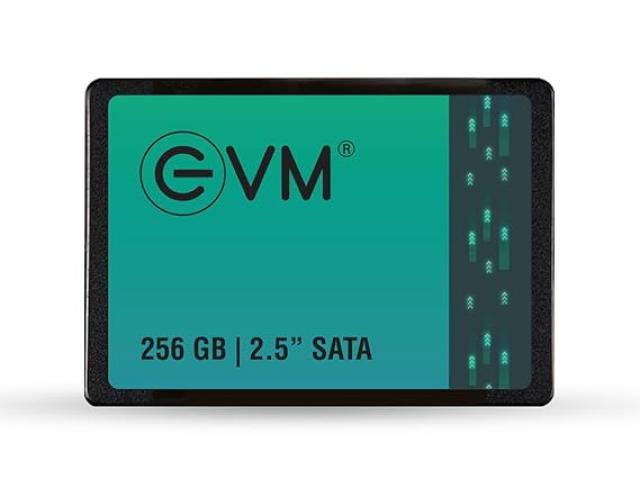 EVM 256GB sata SSD price in coimbatore EVM 256GB sata SSD price in coimbatore