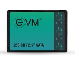EVM 256GB sata SSD price in coimbatore