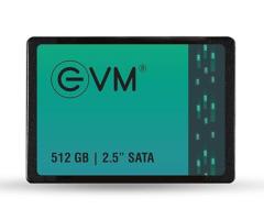 EVM 512GB sata SSD Price in coimbatore