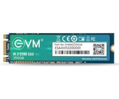 EVM 256GB m.2 sata SSD price in coimbatore